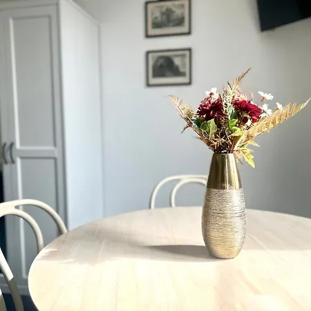 Pina Charme Apartment Rome